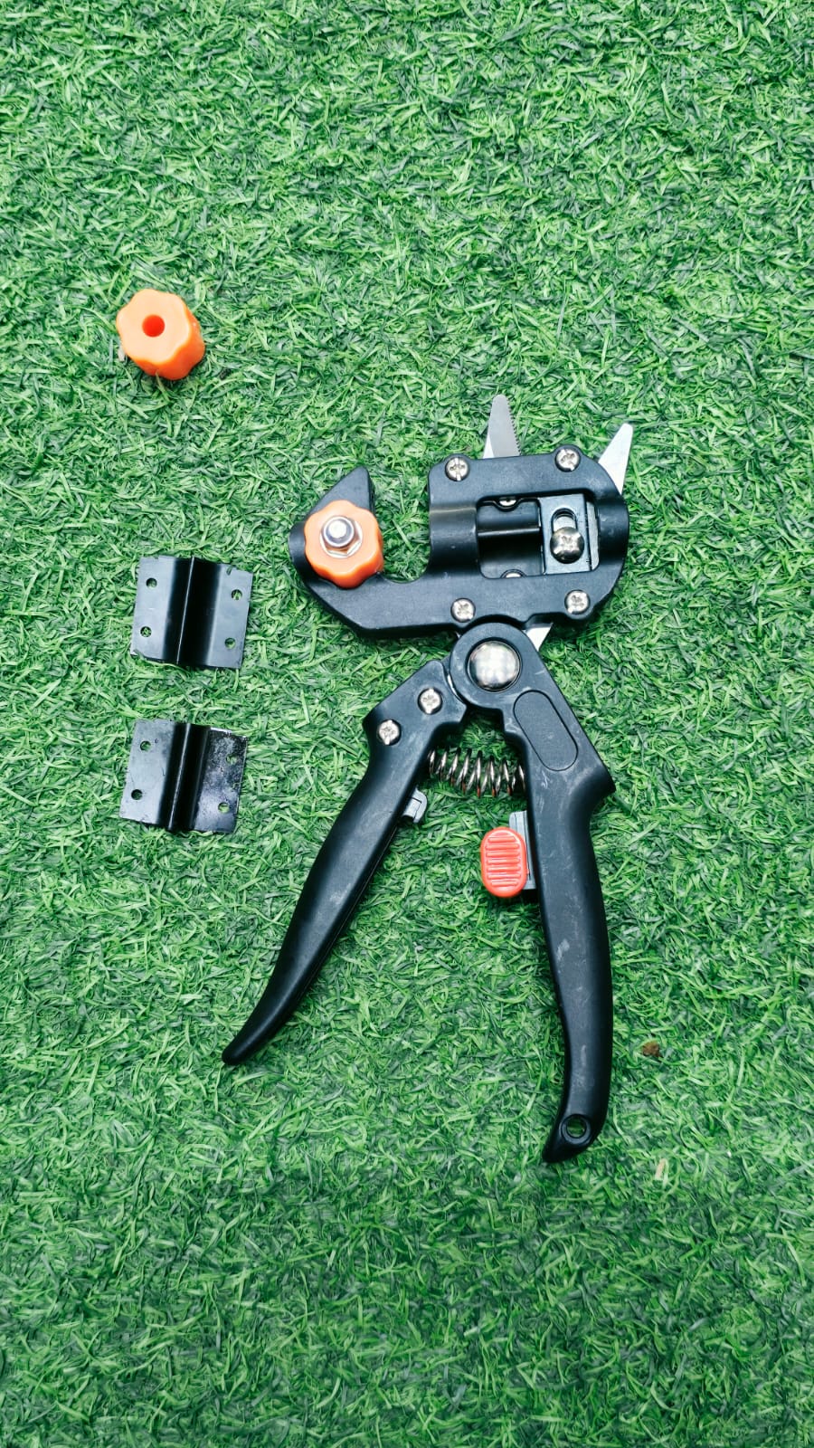 proffessional grafting proffessional grafting